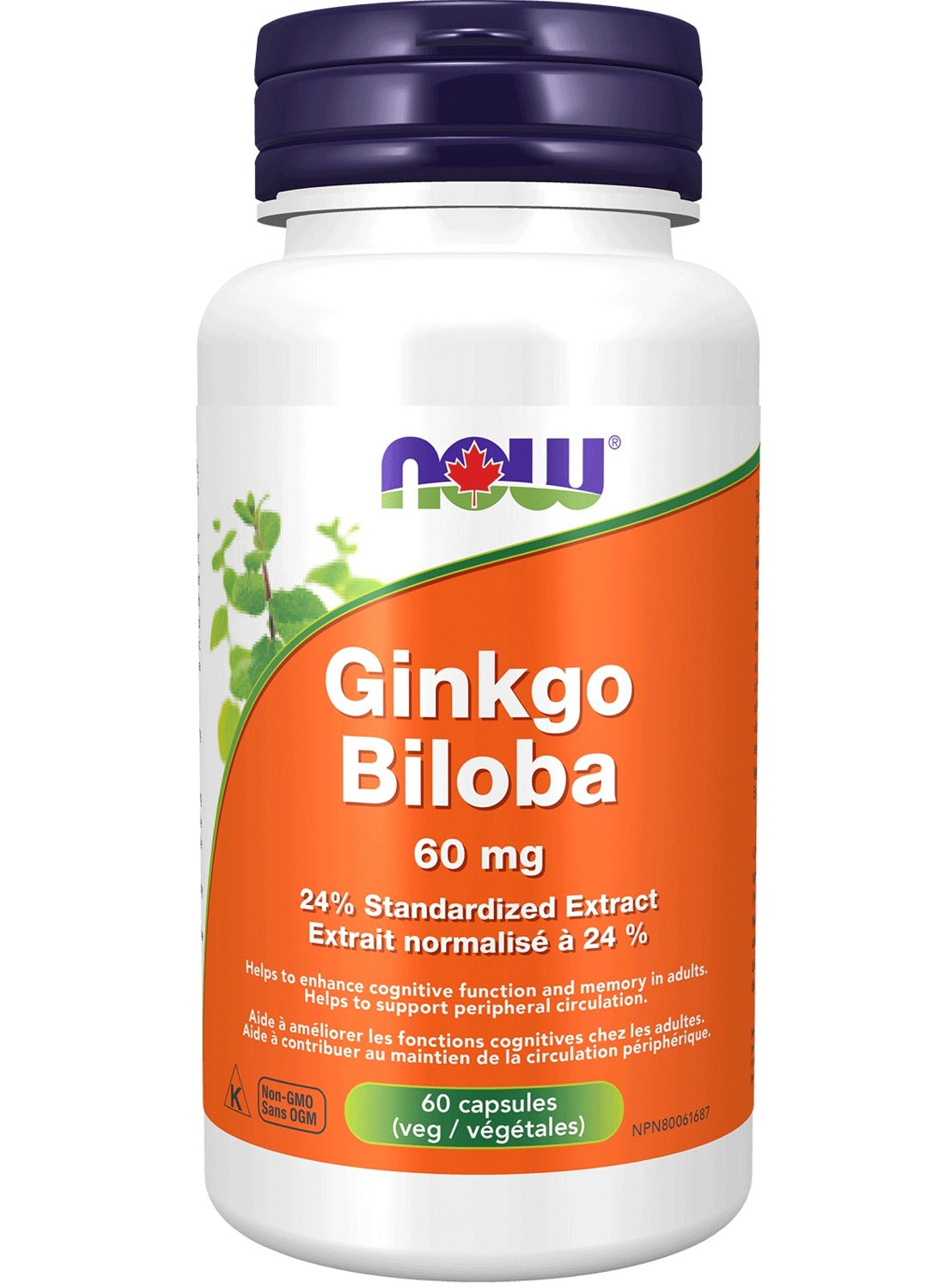 NOW Ginkgo Biloba Extract (60 mg - 120 vcaps)