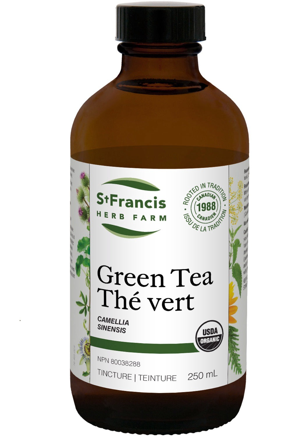 ST FRANCIS HERB FARM Green Tea (250 ml)