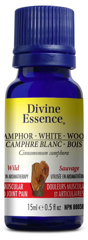 DIVINE ESSENCE Camphor - White Wood (Wild - 15 ml)