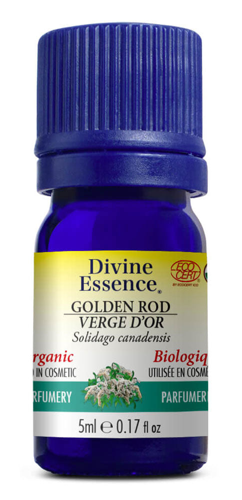 DIVINE ESSENCE Golden Rod (Organic - 5 ml)